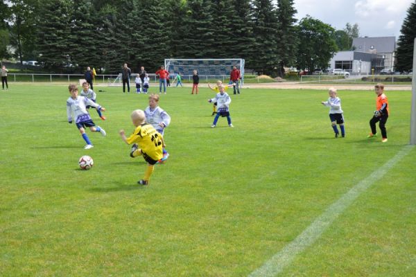 1.Volksbank-Cup der G-Jugend in Neustadt/Sa.