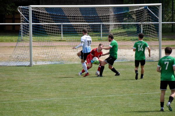 Bilder vom Spiel SSV Neustadt/Sachsen gegen TSV Graupa