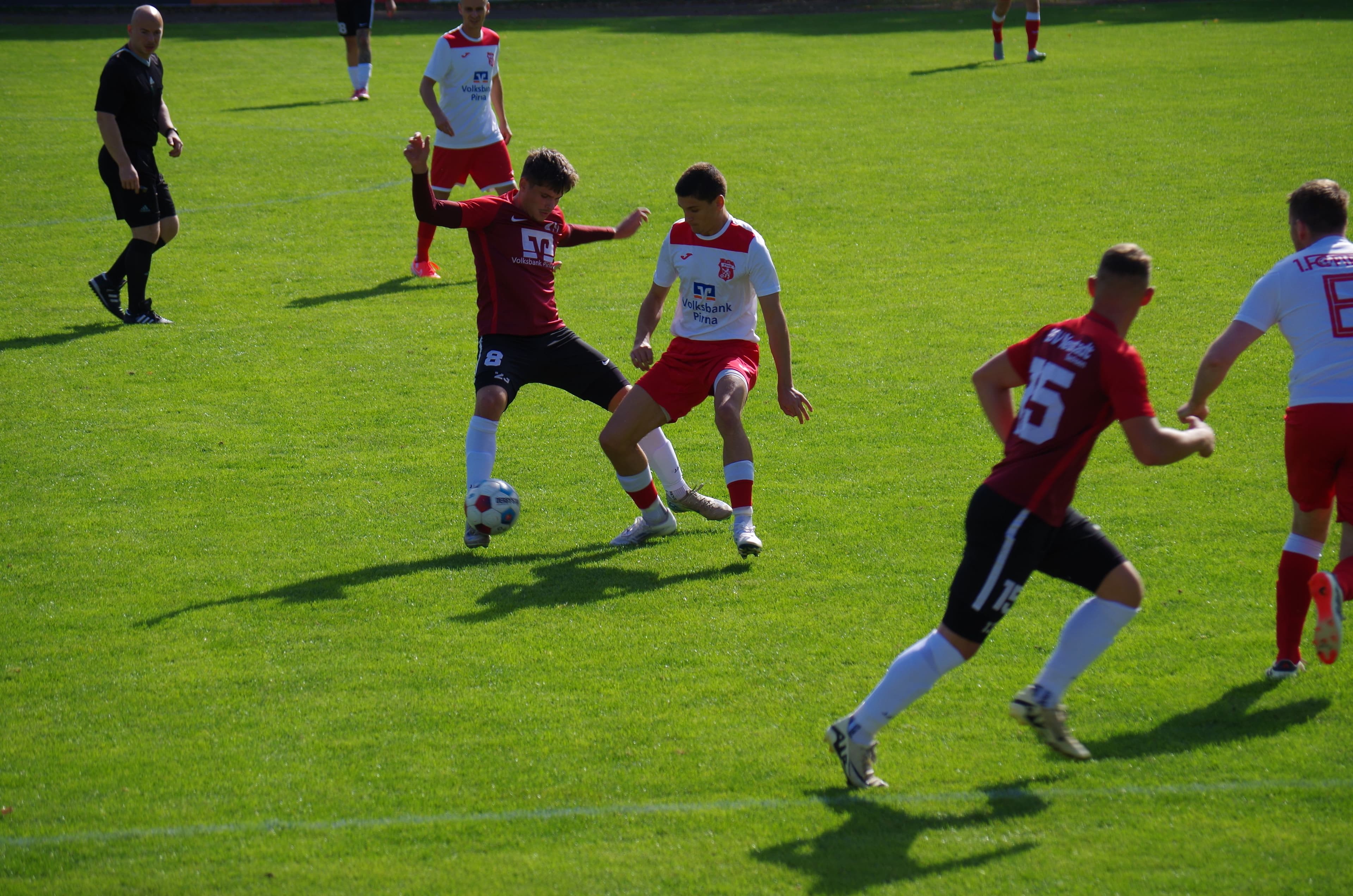 IMGP8442.JPG