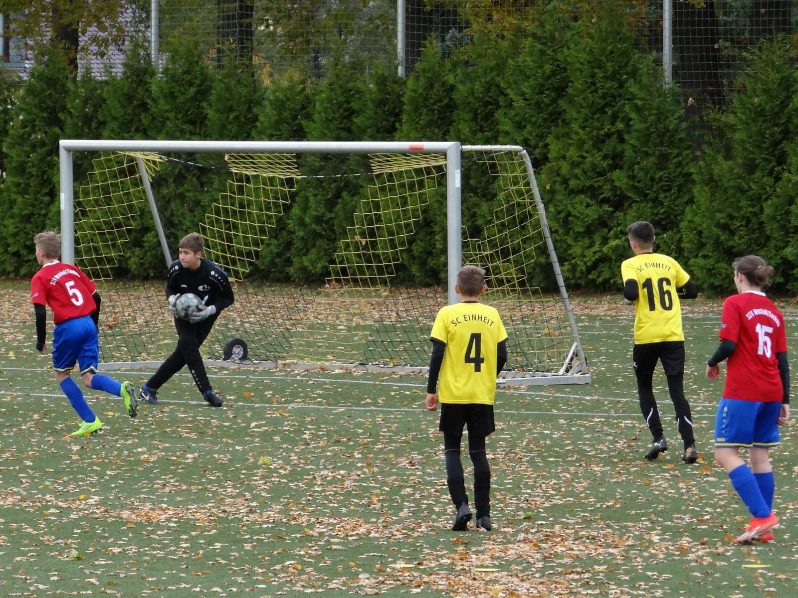 WhatsApp Image 2025-10-29 at 14.29.37.jpeg