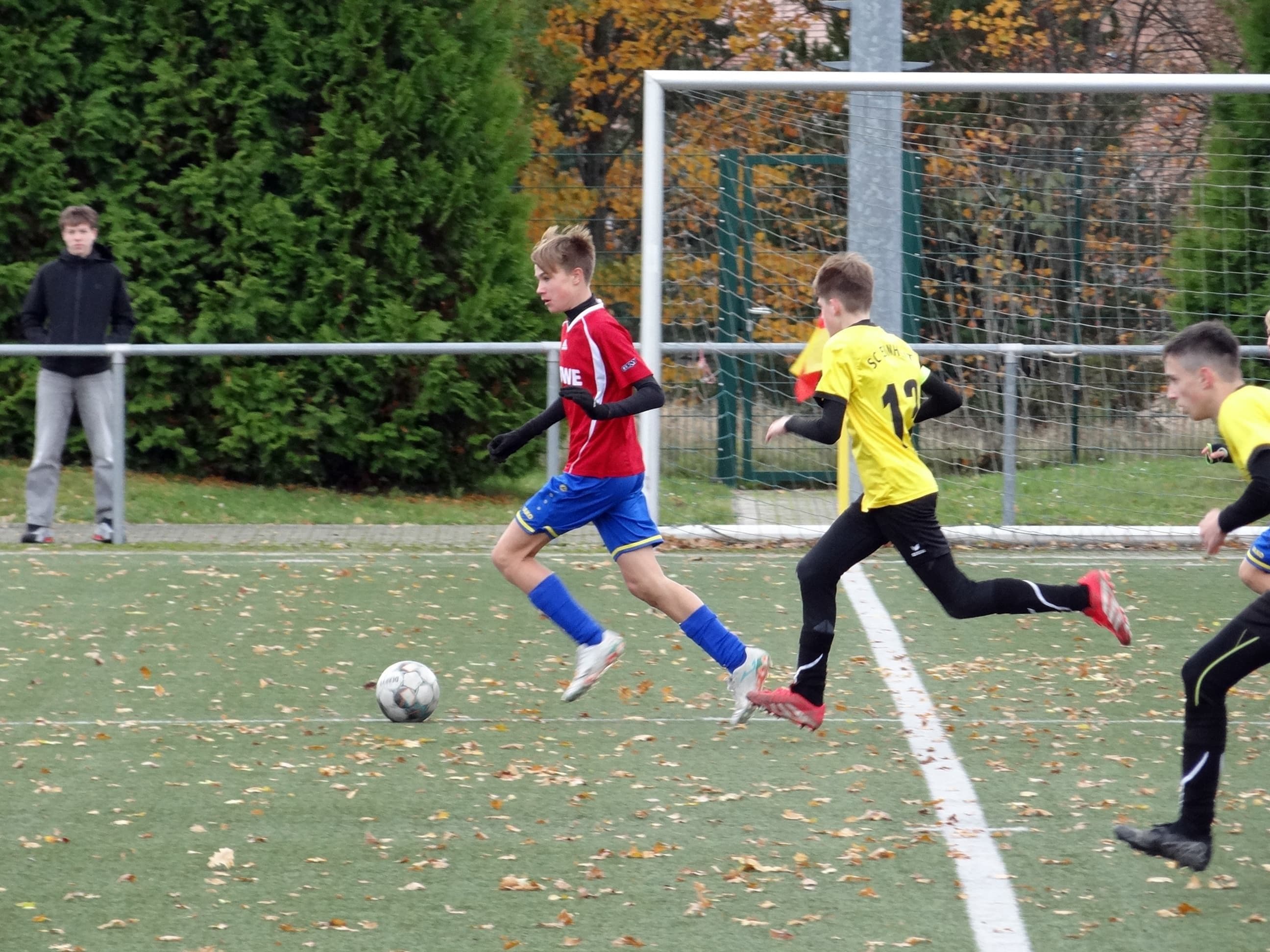 WhatsApp Image 2025-10-29 at 14.29.40.jpeg